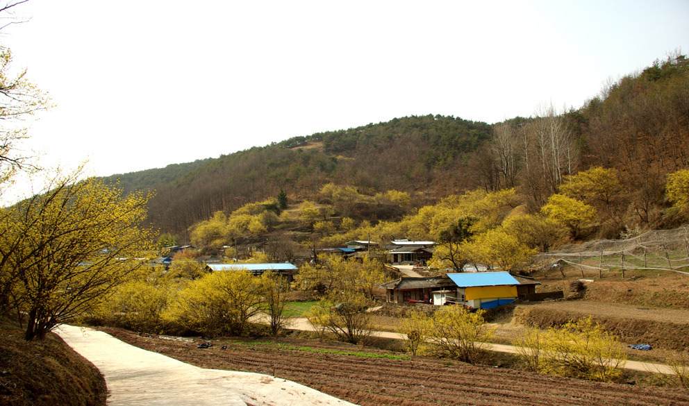 사진마을 이미지