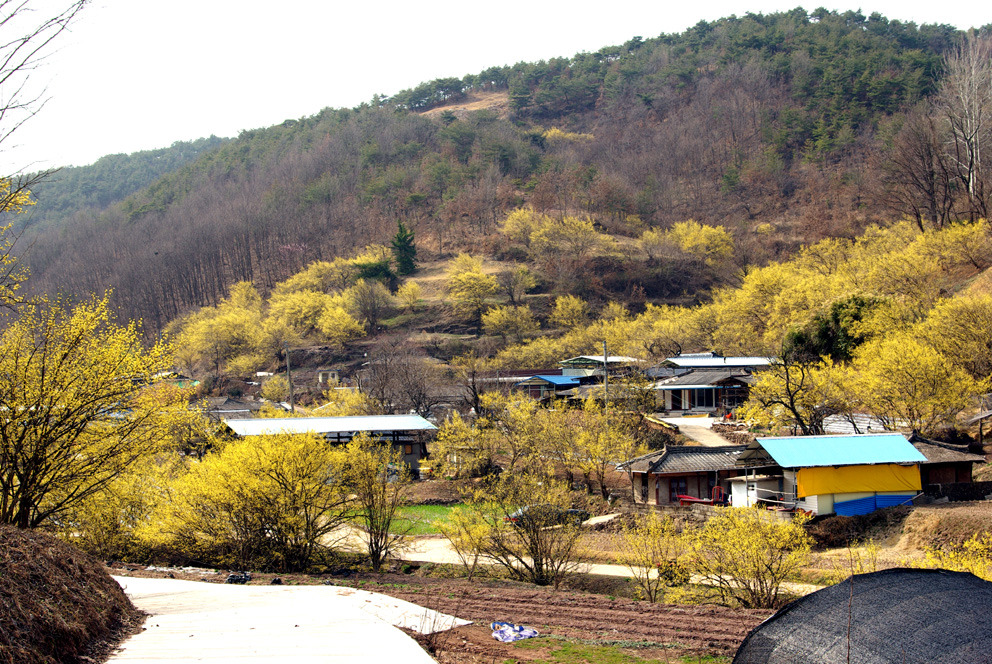 사진마을 이미지