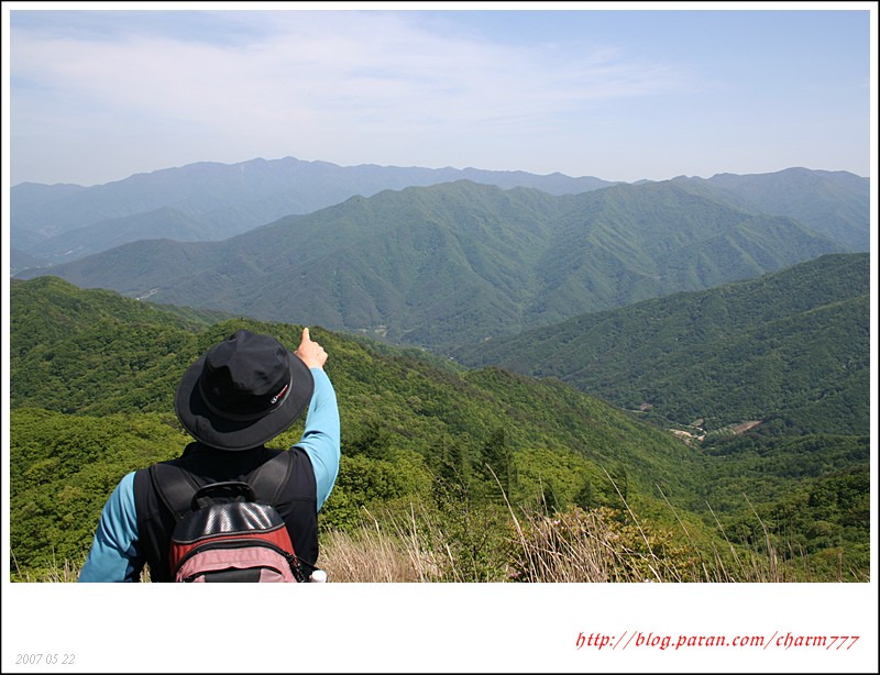산철죽 군락지 이미지