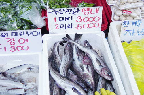 생선집 이미지